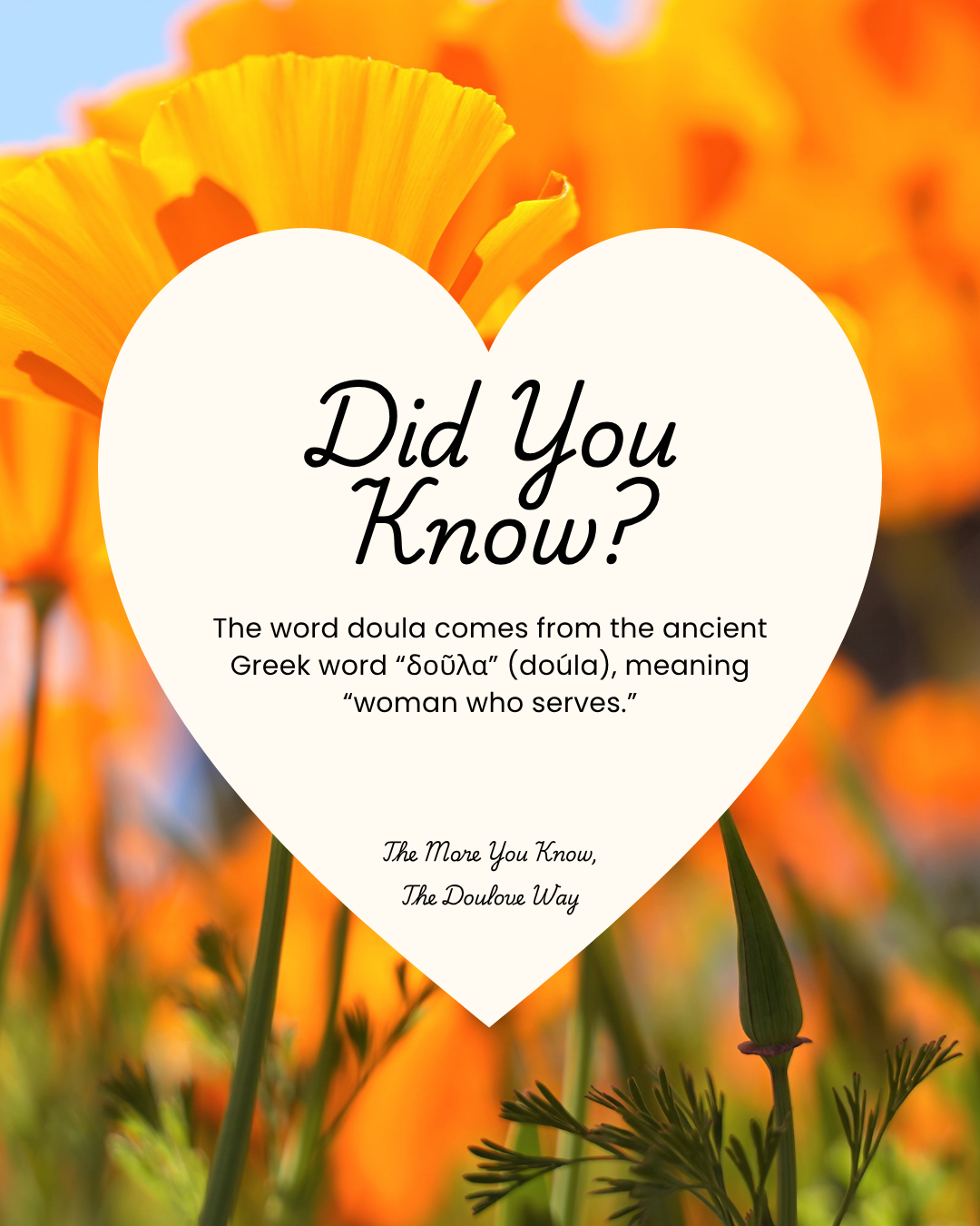 Did You Know? 1