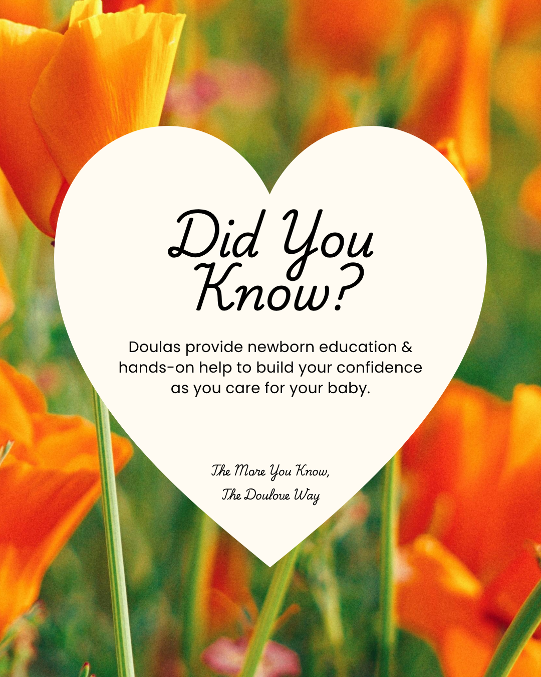Did You Know? 11