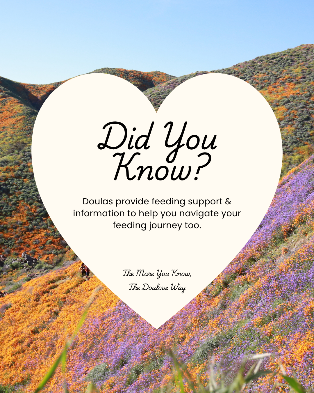 Did You Know? 12