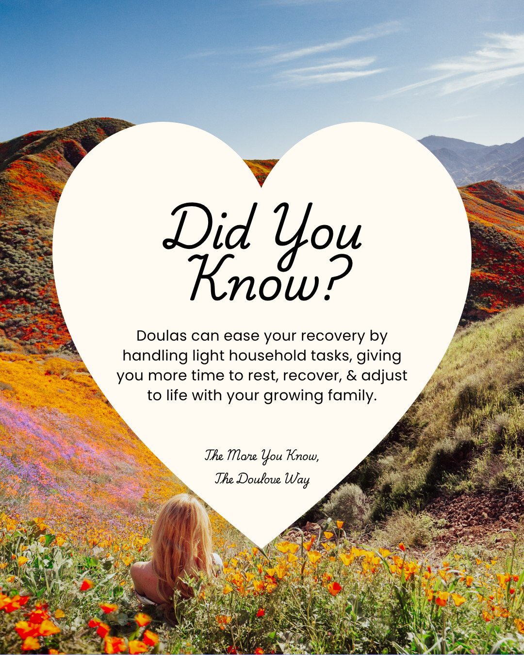 Did You Know? 13