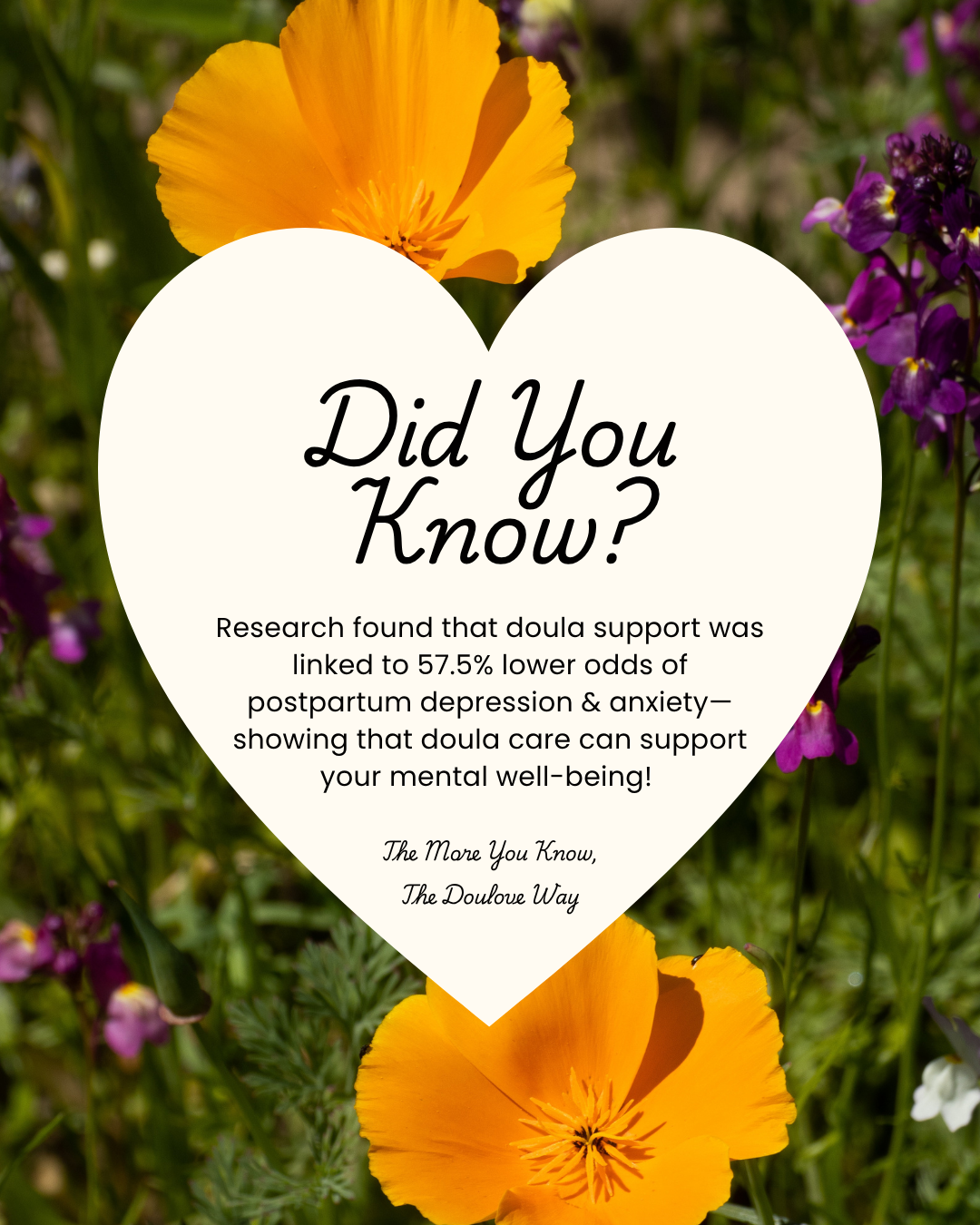 Did You Know? 14