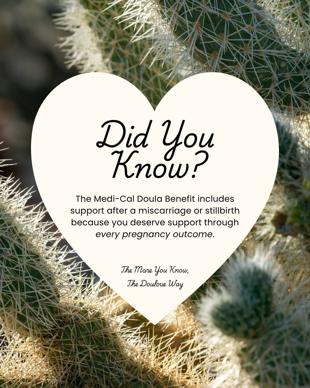 Did You Know? 17