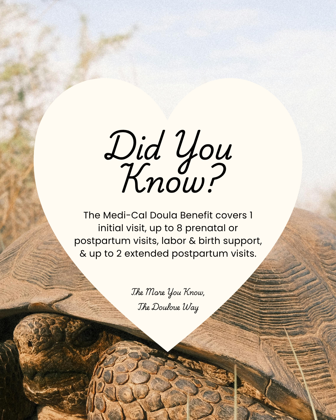 Did You Know? 18