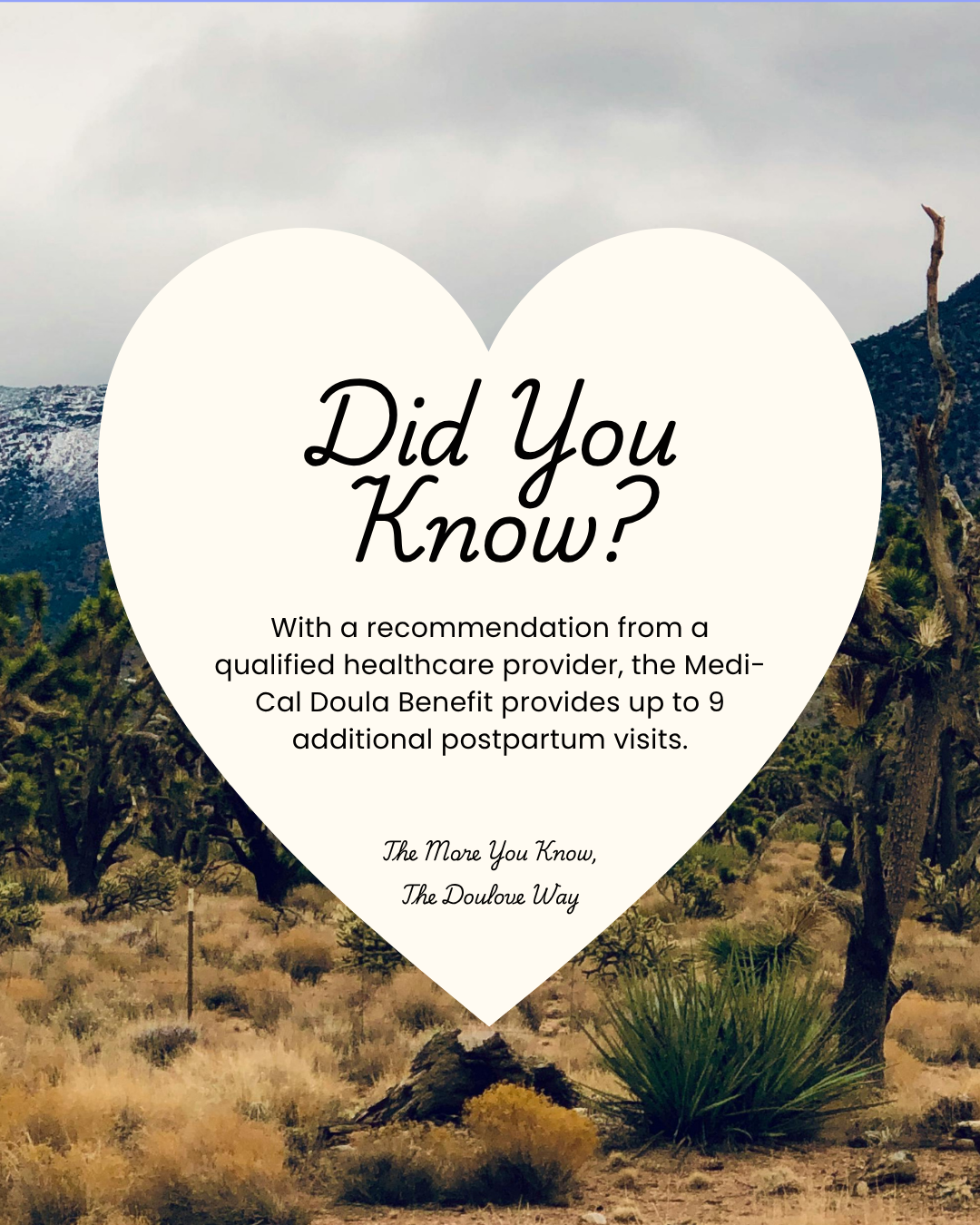 Did You Know? 19
