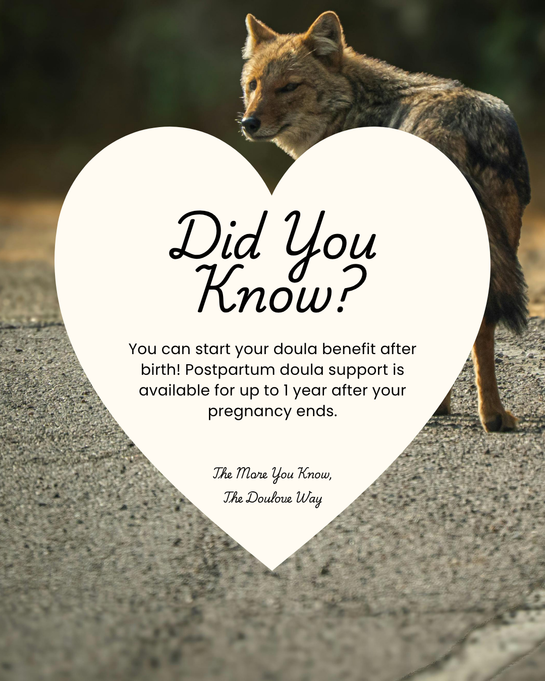 Did You Know? 20