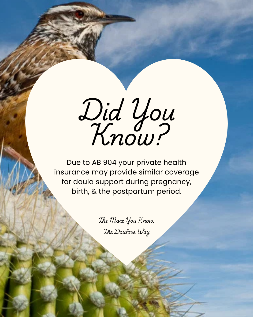 Did You Know? 22