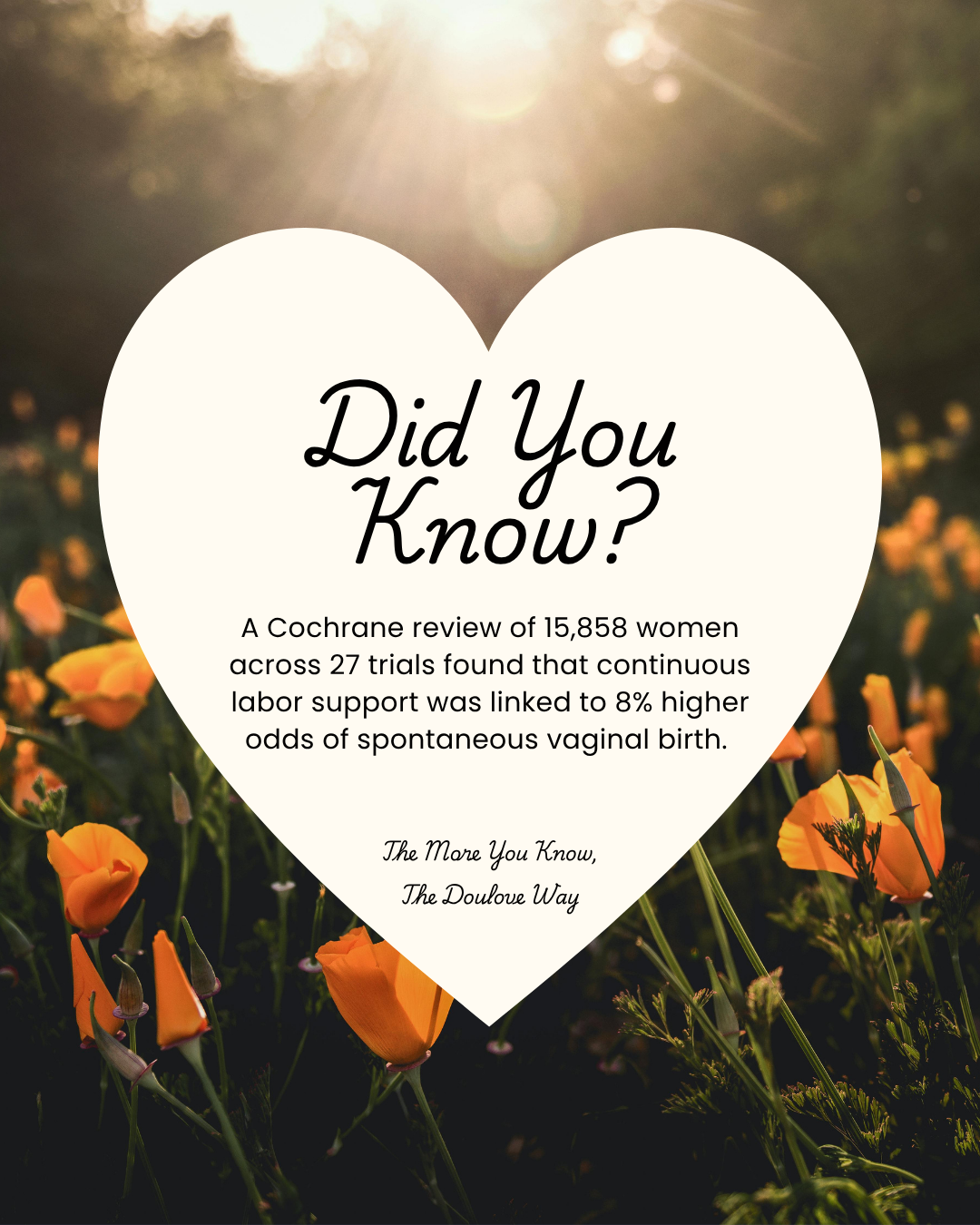 Did You Know? 3