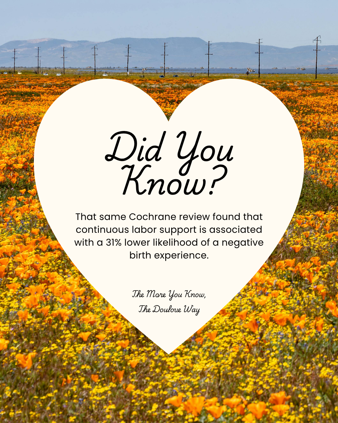 Did You Know? 4
