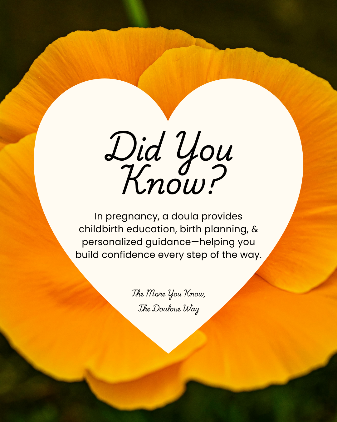 Did You Know? 5