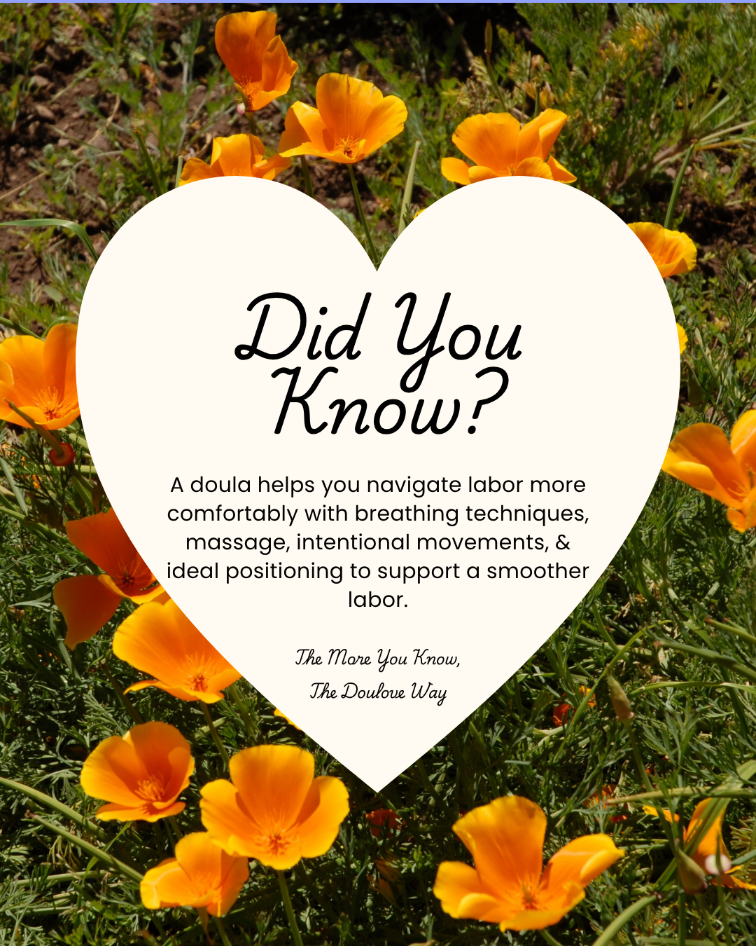 Did You Know? 6