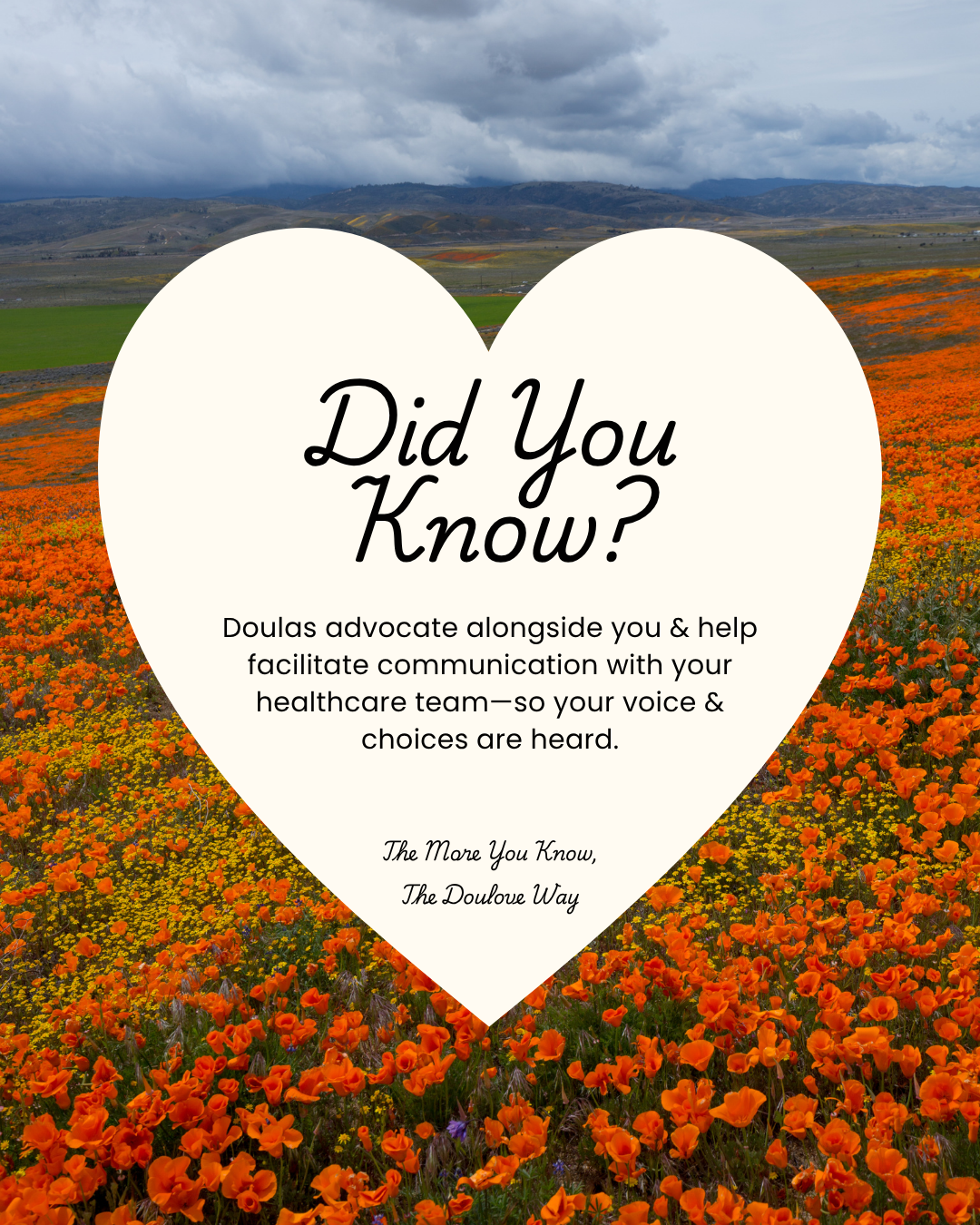 Did You Know? 7