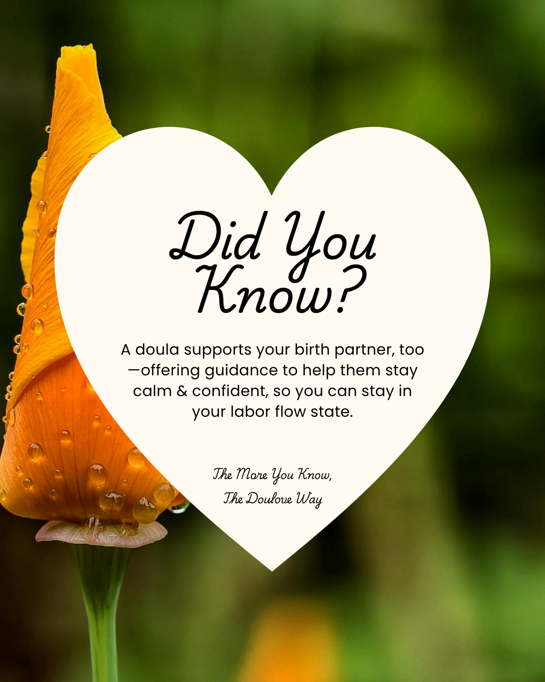 Did You Know? 8